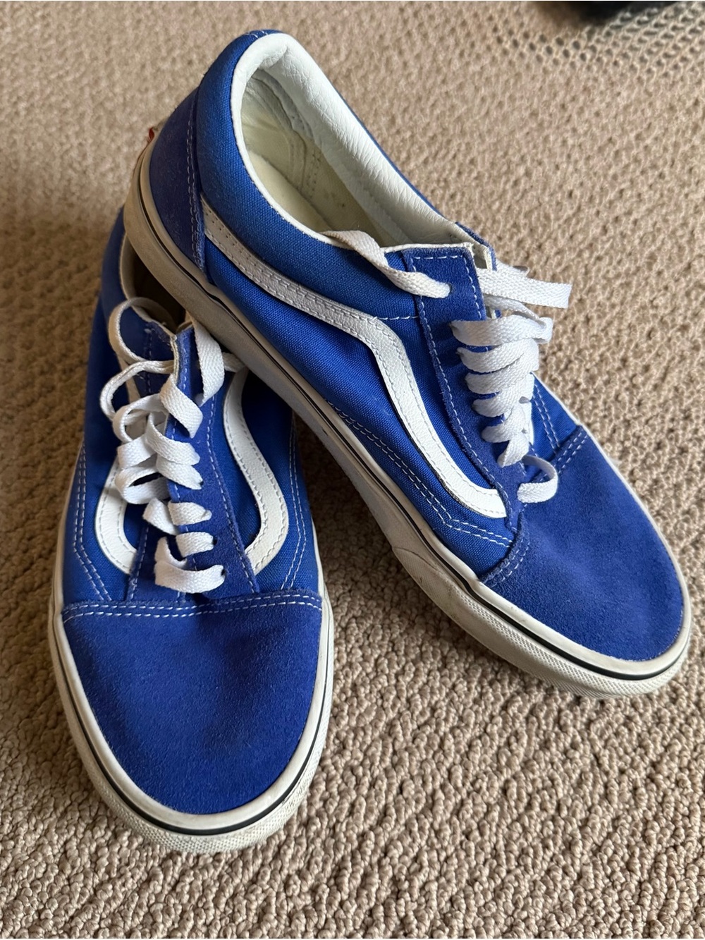 Vans Royal Blue Low-Top Sneakers with White Side Stripe
